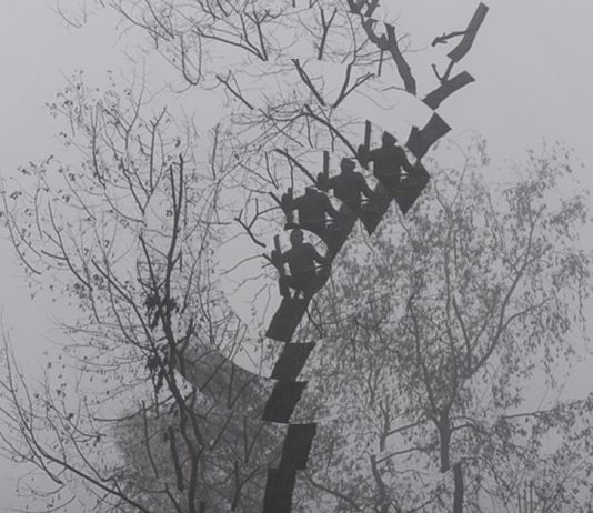 Natural Ellipsis – Anima Mundi e Conversione Ecologica