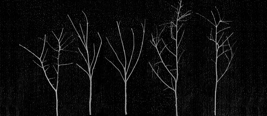 Giulio Cerocchi – Opere sceltehttps://www.exibart.com/repository/media/formidable/11/img/37d/Giulio-Cerocchi-Territori-Innevati-18-1068x464.jpg