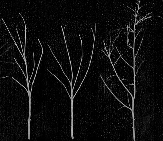 Giulio Cerocchi – Opere scelte