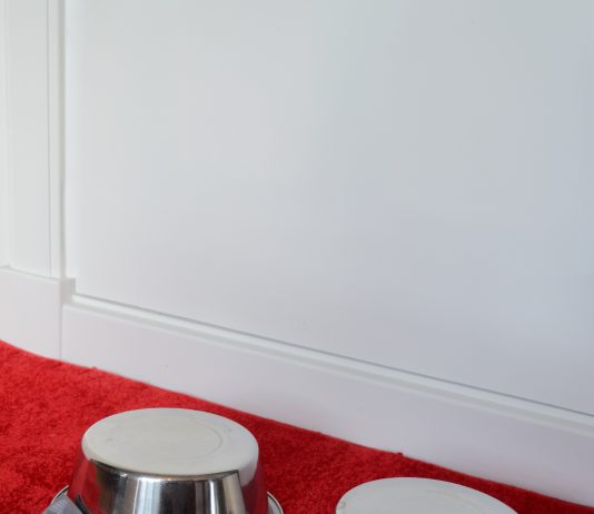 Finn Theuws – Wedge