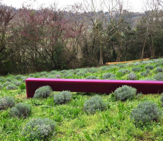 Herbert Hamak Herbert Hamak