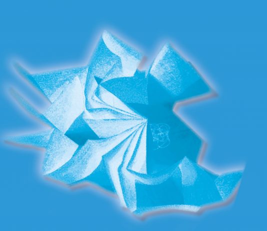 Quando un libro è espressione d’arte