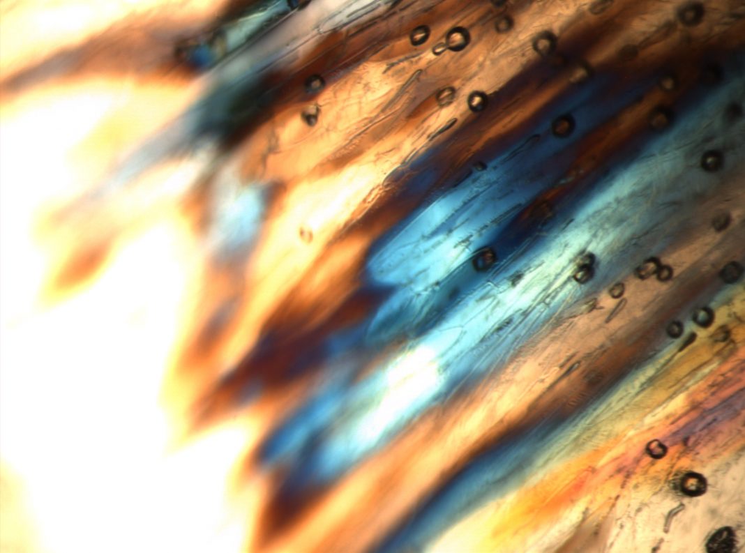 Alessandro Puccia – Into the deephttps://www.exibart.com/repository/media/formidable/11/img/3d7/Alessandro-Puccia_Lago-Maggiore-Aurora-1798_stampa-sublimatica-a-transfer-su-canvas-di-poliestere-mano-cotoniera_93x130-cm_2024-1068x793.jpg