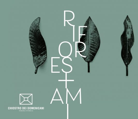 Dario Giancane – Riforestami