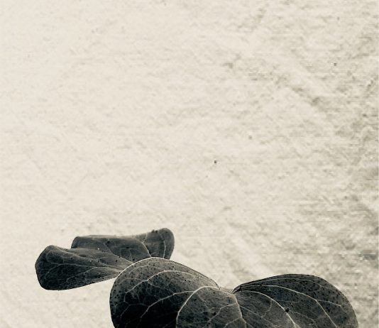 Mandra Stella Cerrone – Gandhi filava a mano il cotone della liberazione Mandra Stella Cerrone – Gandhi filava a mano il cotone della liberazione