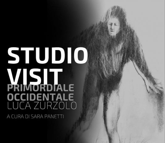 STUDIO VISIT LUCA ZURZOLO // in progress project