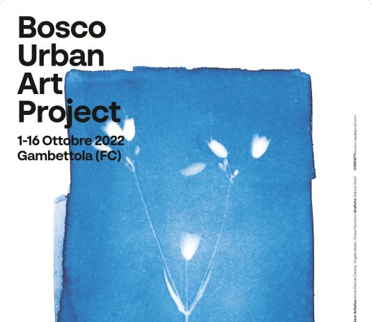 Bosco Urban Art Project