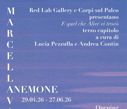 Marcella Vanzo – Anemone