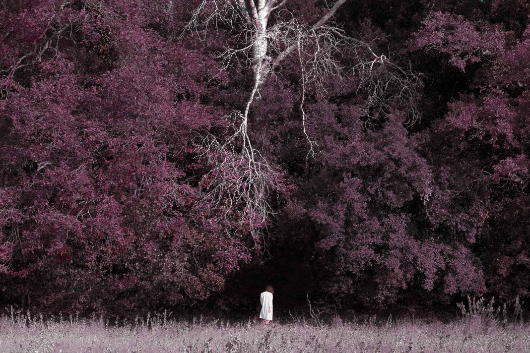 Silvia Montevecchi – Chrysalishttps://www.exibart.com/repository/media/formidable/11/img/407/18_RID-1068x712.jpg