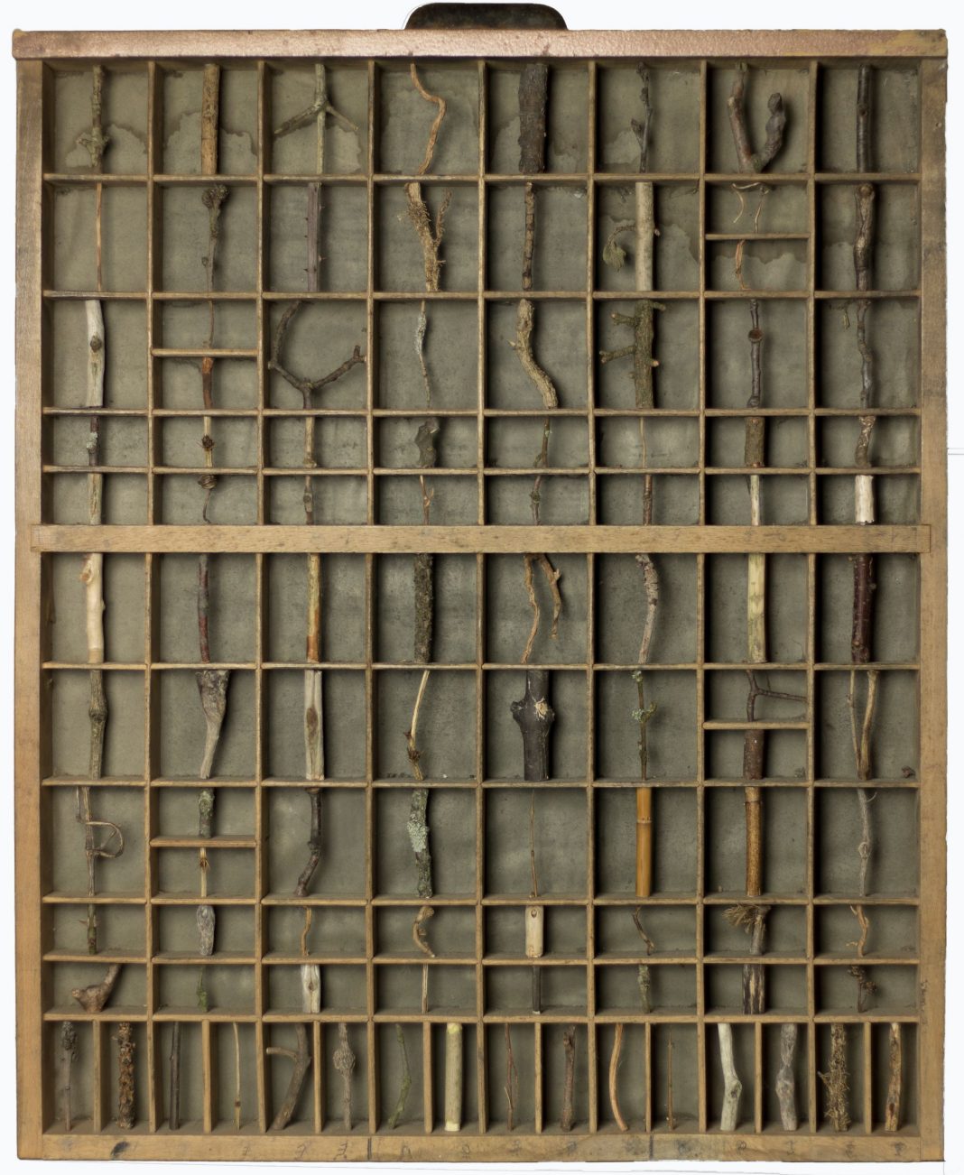 ACCIDENTALE | traccia per una grammaticahttps://www.exibart.com/repository/media/formidable/11/img/431/Iside-Calcagnile-charasso-2019-rami-e-cassetto-tipografico-57-x-45-x-7-cm-1068x1302.jpg