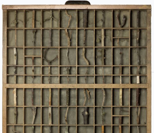 ACCIDENTALE | traccia per una grammatica ACCIDENTALE | traccia per una grammatica