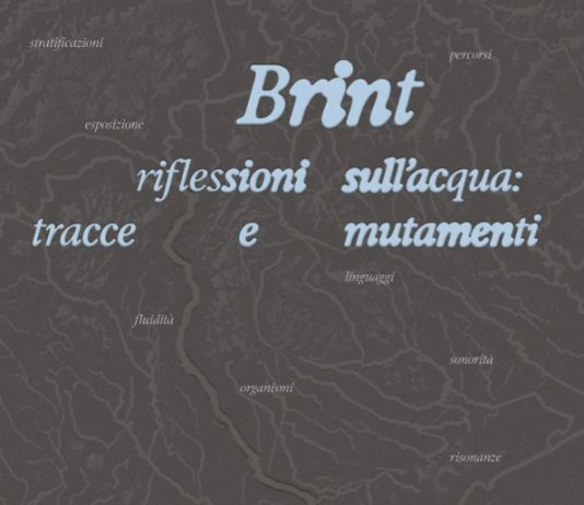 LinkHg e Riccardo Rizzetto – BRINT riflessioni sull’acqua: tracce e mutamenti