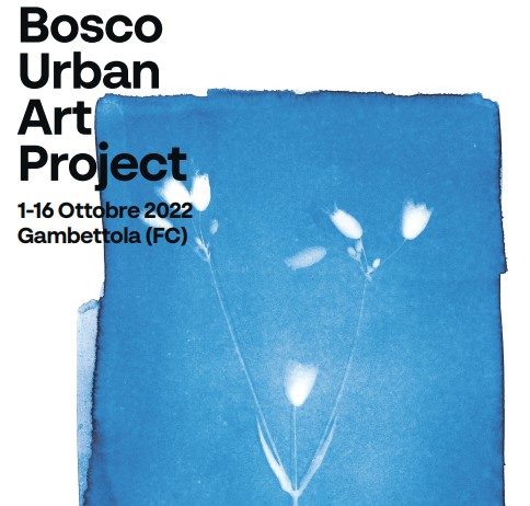 Bosco Urban Art Project – III edizione