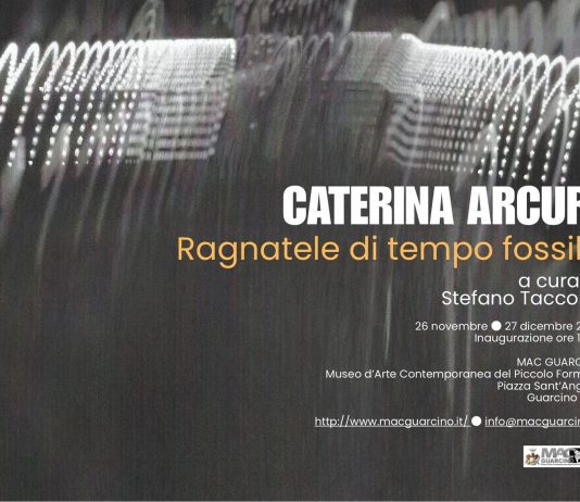 Caterina Arcuri – Ragnatele di tempo fossile
