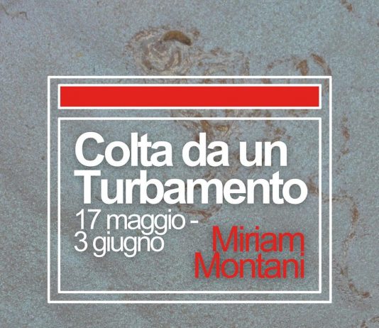 Miriam Montani – COLTA DA UN TURBAMENTO