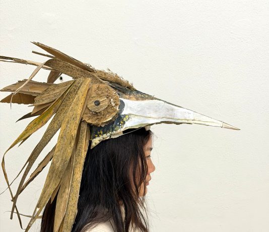 Workshop Swamp Intelligence Workshop Swamp Intelligence