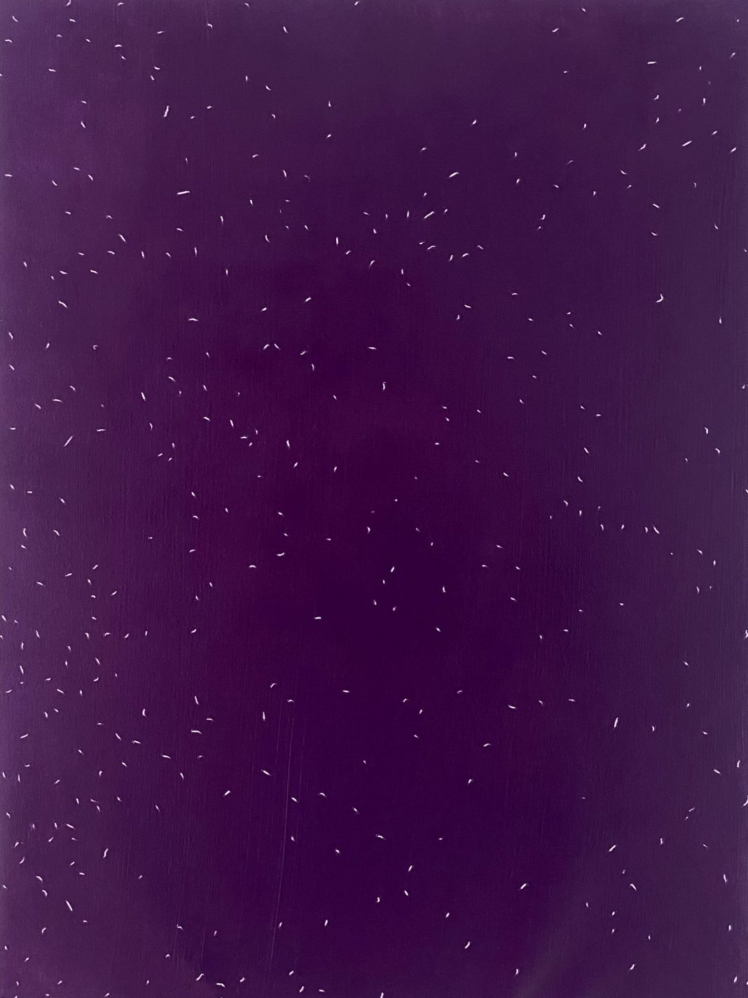 THE ELEPHANT AND THE BLIND MEN – The Matter of the Voidhttps://www.exibart.com/repository/media/formidable/11/img/482/IMG_9125-e1708515848360-1068x1426.jpeg