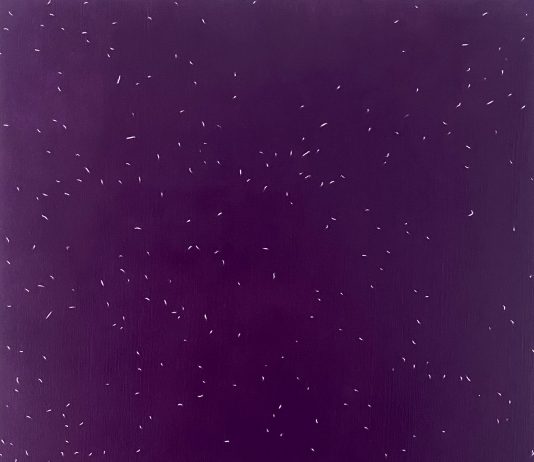 THE ELEPHANT AND THE BLIND MEN – The Matter of the Void