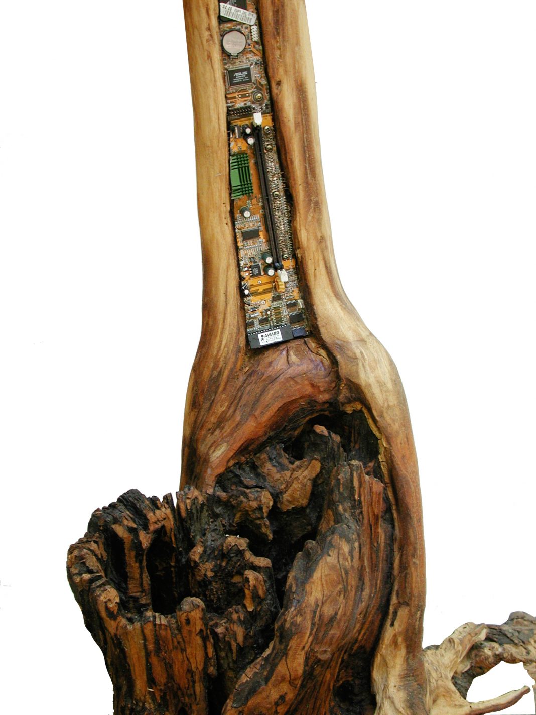 Gian Luigi Martelli – La memoria degli alberihttps://www.exibart.com/repository/media/formidable/11/img/492/Gian-Luigi-Martelli-STELE-Y-particolare-1068x1424.jpg