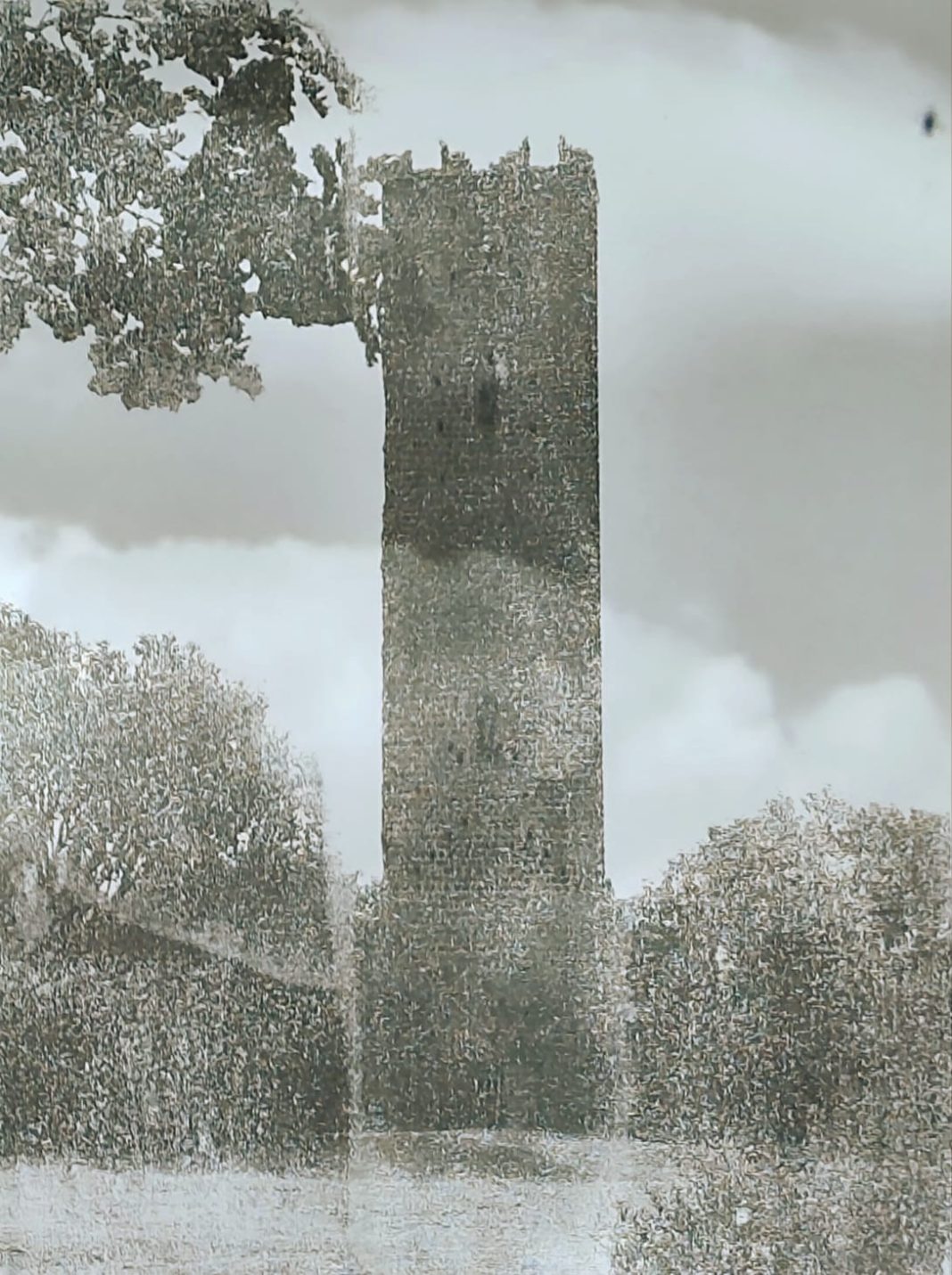 È un brusio la vitahttps://www.exibart.com/repository/media/formidable/11/img/4bf/1a8071e1-4f19-4828-965e-5b48d5068239-1068x1431.jpg