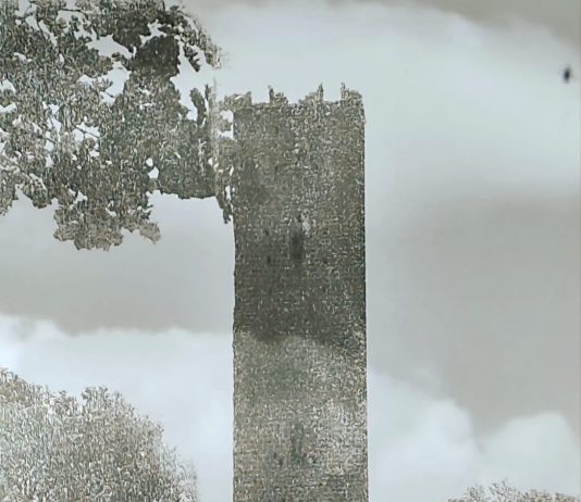 È un brusio la vita