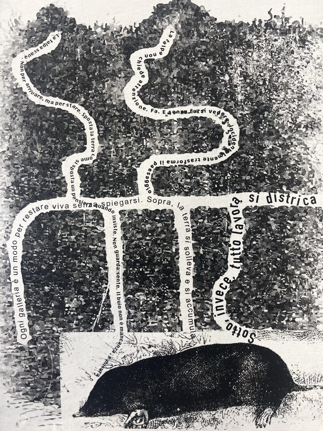 Cinzia Benigni / Keita Nakasone – Manifestohttps://www.exibart.com/repository/media/formidable/11/img/4c5/5-rid-Cinzia-Benigni-La-talpa-come-metafora-Gumprint-1068x1424.jpg