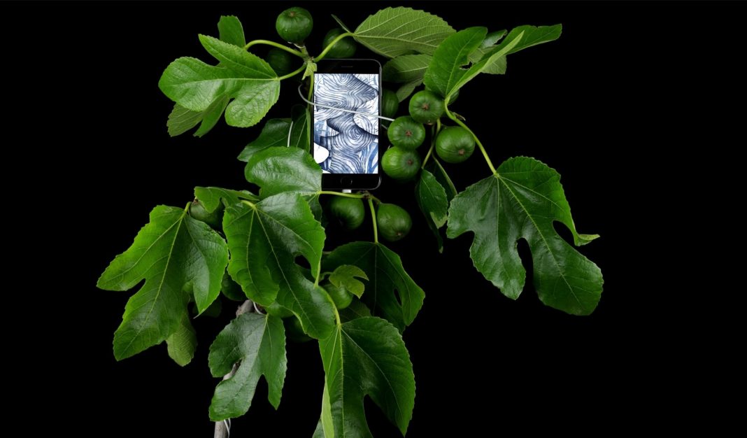 SOUVENIR · SUBVENIREhttps://www.exibart.com/repository/media/formidable/11/img/4e1/Now_SOUVENIR-1-1068x626.jpg