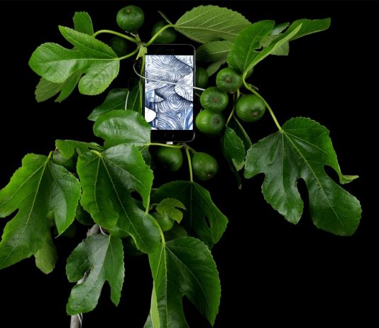 SOUVENIR · SUBVENIRE