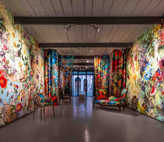 Austin Young – Beauty!