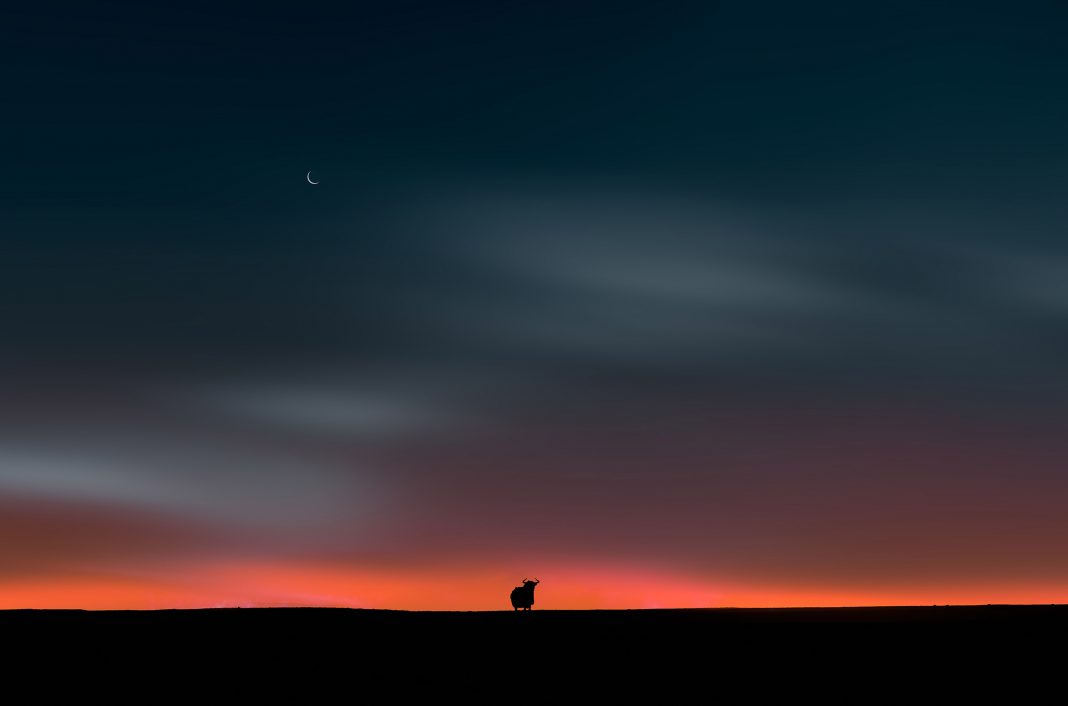 Zhang Chaoyin – Luci d’alta quota. Lettera di un amore di quarant’anni su pellicolahttps://www.exibart.com/repository/media/formidable/11/img/4f2/5-1068x706.jpg