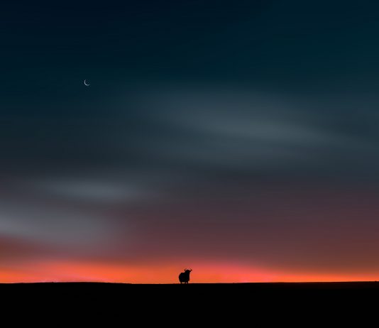 Zhang Chaoyin – Luci d’alta quota. Lettera di un amore di quarant’anni su pellicola