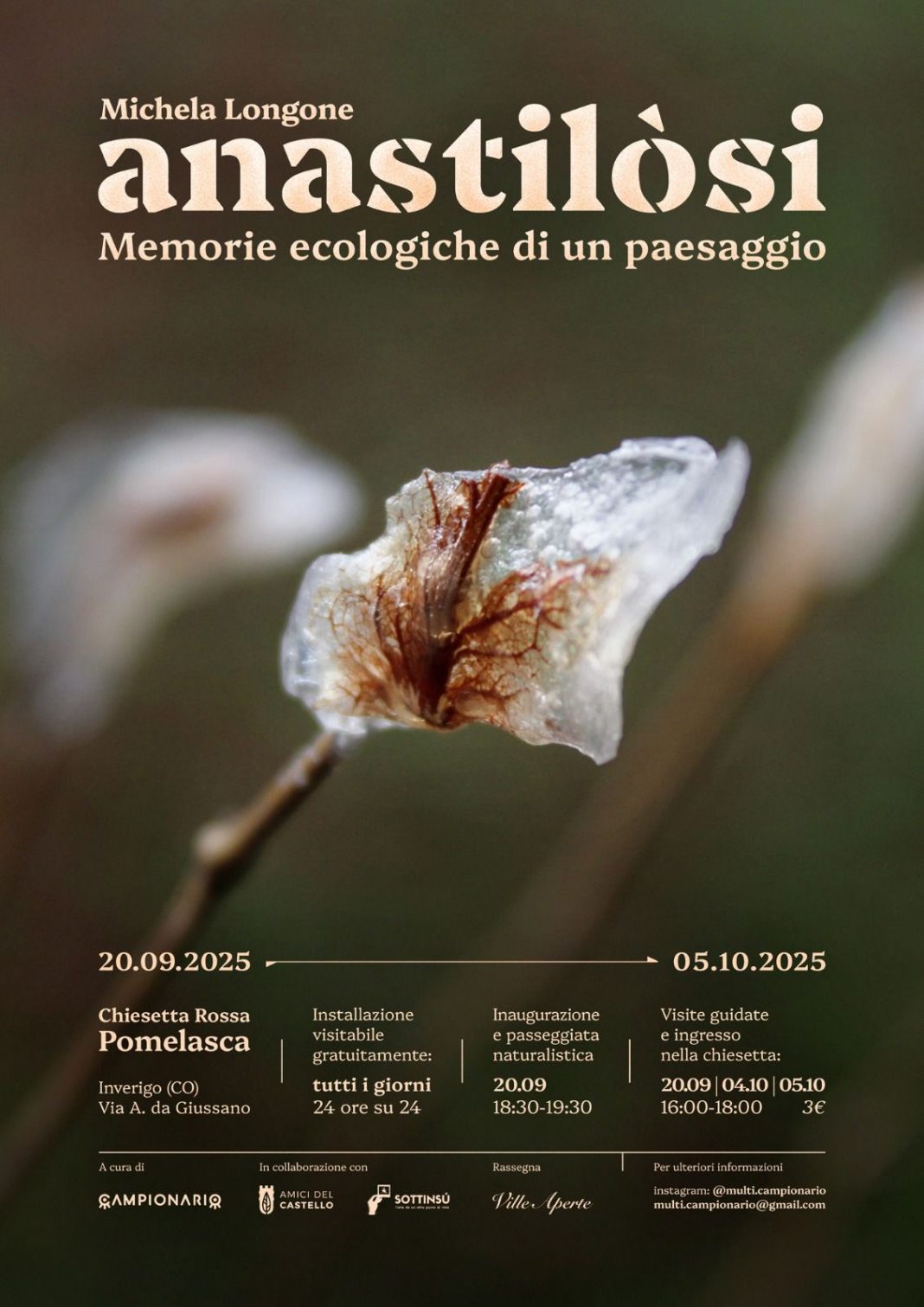 Anastilosi – memorie ecologiche di un paesaggiohttps://www.exibart.com/repository/media/formidable/11/img/547/Anastilosi-Pomelasca-1068x1511.jpeg