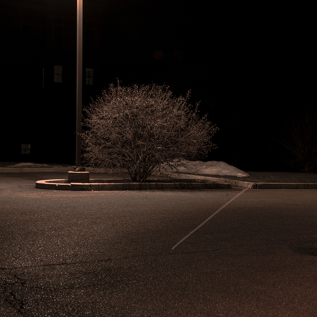 Peter Ydeen – Easton Nightshttps://www.exibart.com/repository/media/formidable/11/img/54c/Night-bush-72-x-1024.jpg