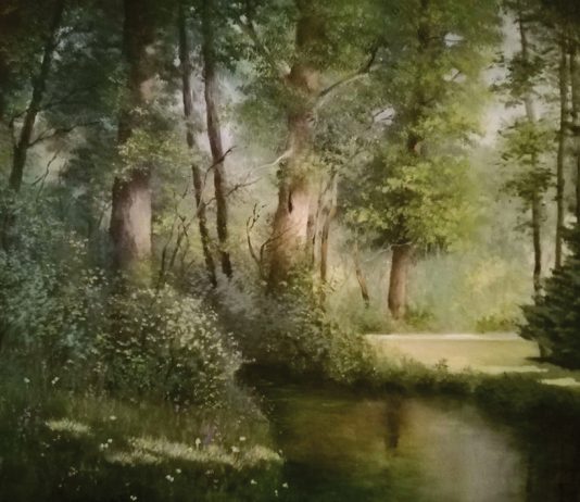 Stefania Aldi – L’arte di raccontare senza parole