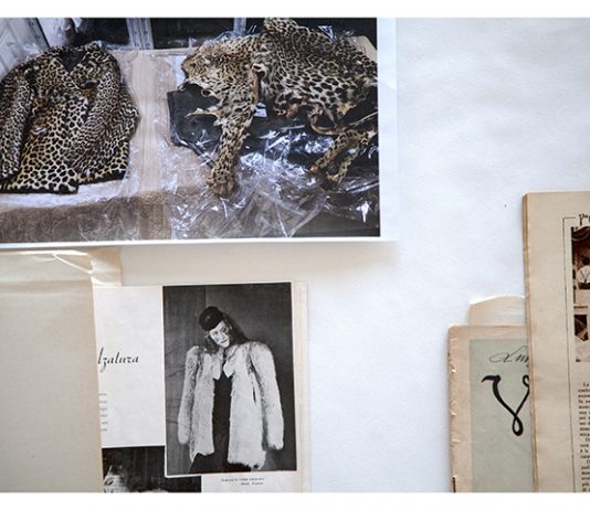 Caterina Pecchioli / Victor Abbey-Hart – Decolonizing the Gaze