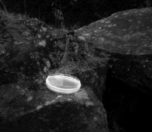 Raimondo Coppola – Forma-formae Raimondo Coppola – Forma-formae