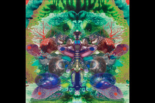 Ursula Müller-Teeuwisse / Holm Heinke – Wunderkammer