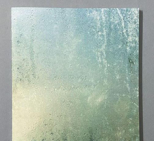 Benedetta Casagrande – All Things Laid Dormant