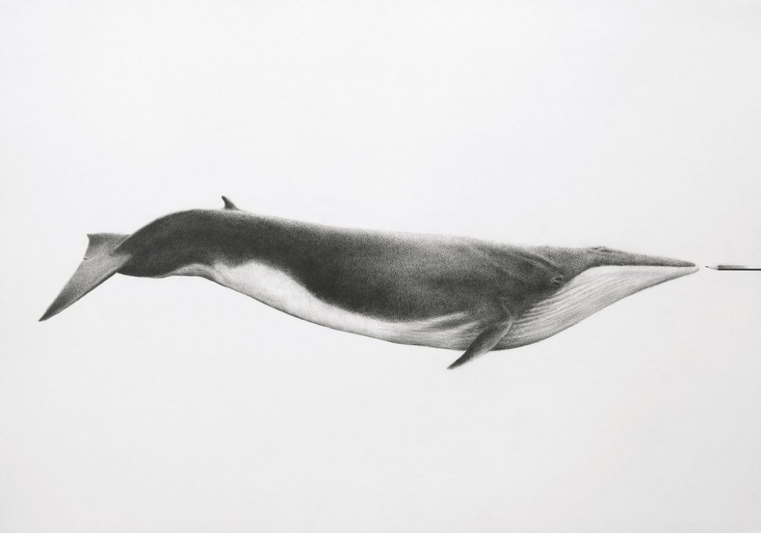 Premio Massimiliano Galliani per il disegno under 35https://www.exibart.com/repository/media/formidable/11/img/5ae/Massimiliano-Galliani-disegno-E-matita-2017-matita-su-carta-cm-75x110-1068x748.jpg