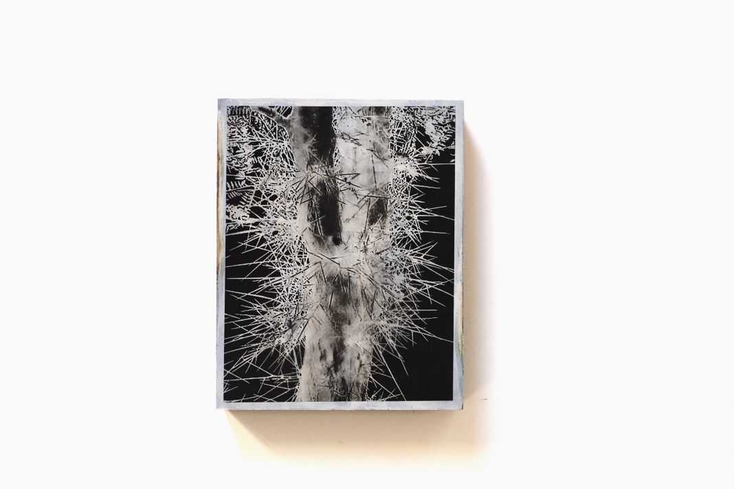 Paola Boscaini – (Co)abitandohttps://www.exibart.com/repository/media/formidable/11/img/5bf/9.Paola_Boscaini_Brontotheriidae-1068x712.jpg