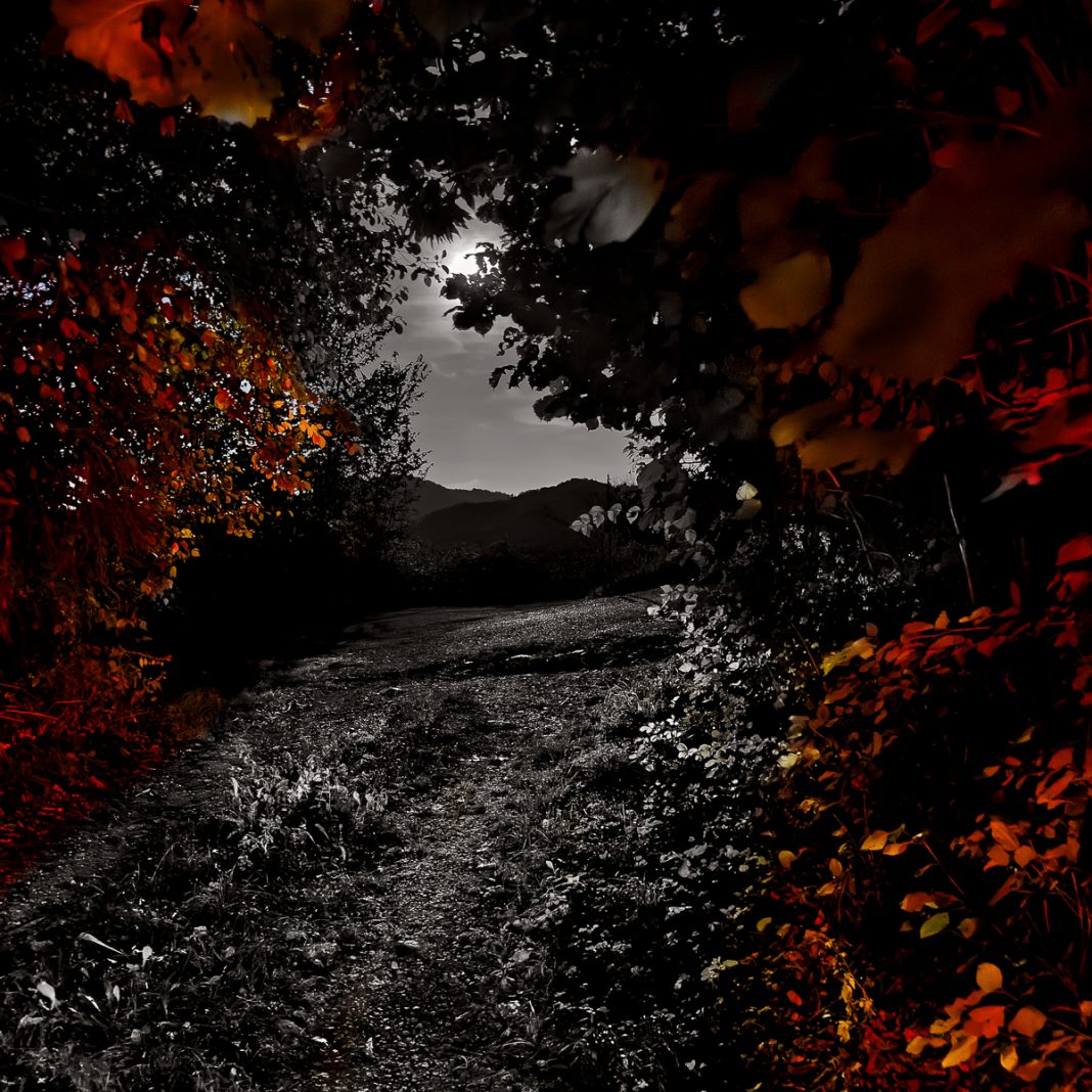 Bagliori di rosso ed altre storiehttps://www.exibart.com/repository/media/formidable/11/img/5d2/2025-©Avico-1068x1068.jpg