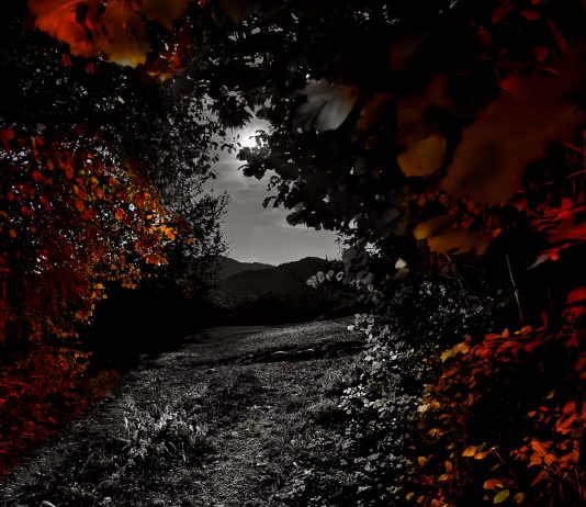 Bagliori di rosso ed altre storie