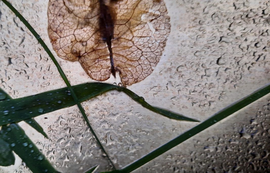 GARTEN o della quiete brulicantehttps://www.exibart.com/repository/media/formidable/11/img/5d9/03.-Souls-2024-1068x683.jpg