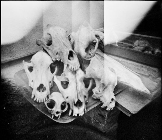 Edoardo de Angelis – Impermanence