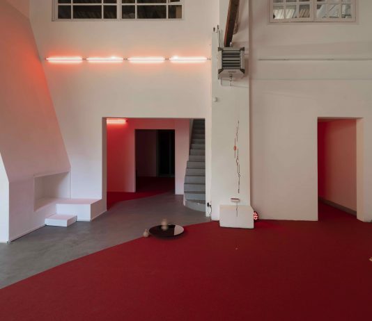 Pedro Torres – Palpita