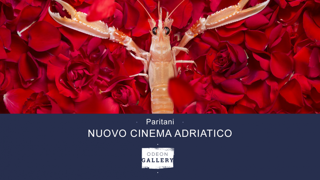 Paritani – Nuovo Cinema Adriaticohttps://www.exibart.com/repository/media/formidable/11/img/5fa/fb_cover_PARITANI_23-1068x601.png