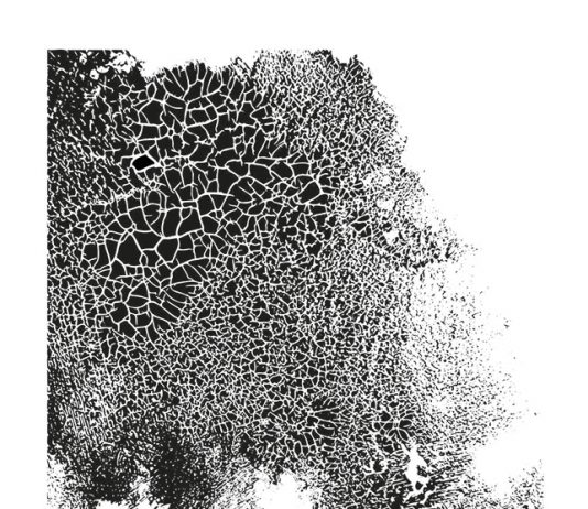 Whatsart VI edizione