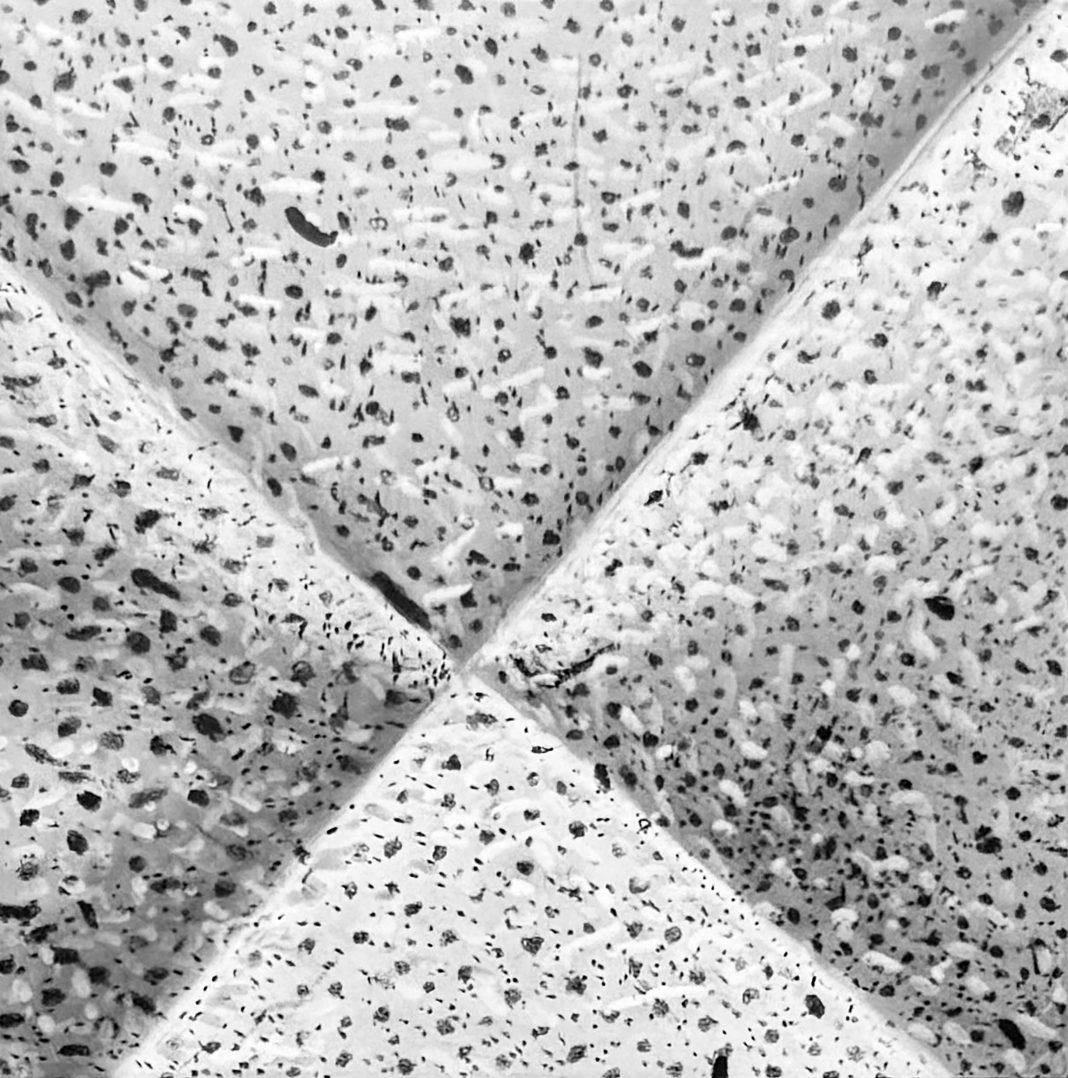 Roberta Maola – Tempĕstashttps://www.exibart.com/repository/media/formidable/11/img/603/Il-tutto-è-più-della-somma-delle-sue-parti-Roberta-Maola-particolare-1-1068x1078.jpg