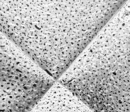 Roberta Maola – Tempĕstas