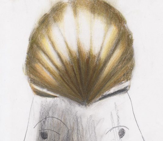 Valentina Artone – Animali degli Specchi